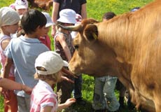 Kinder mit Kuh